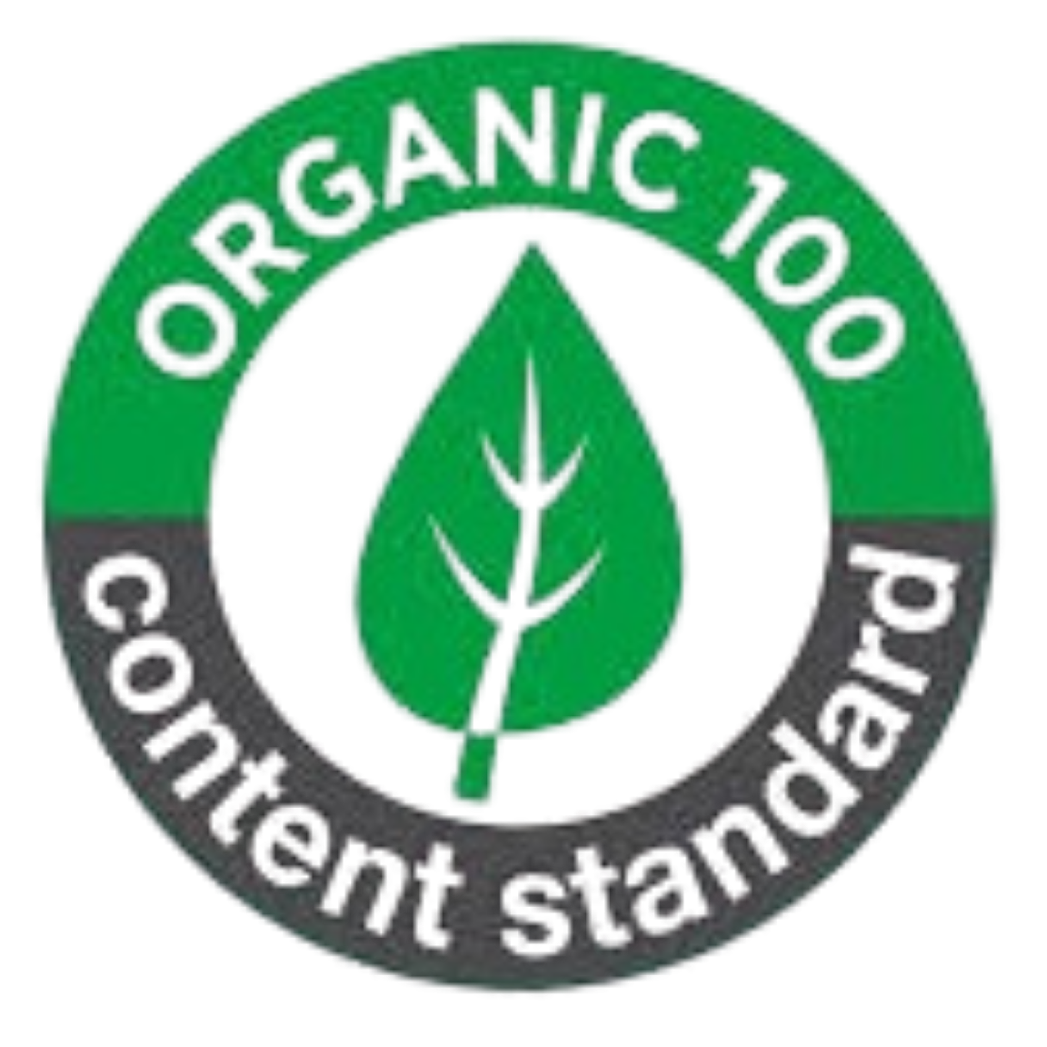 OCS logo