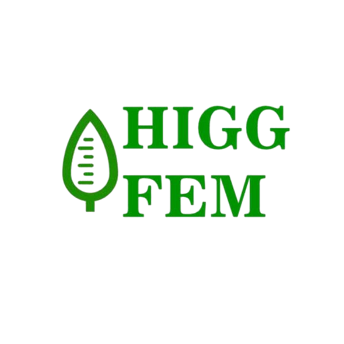 Higg FEM logo